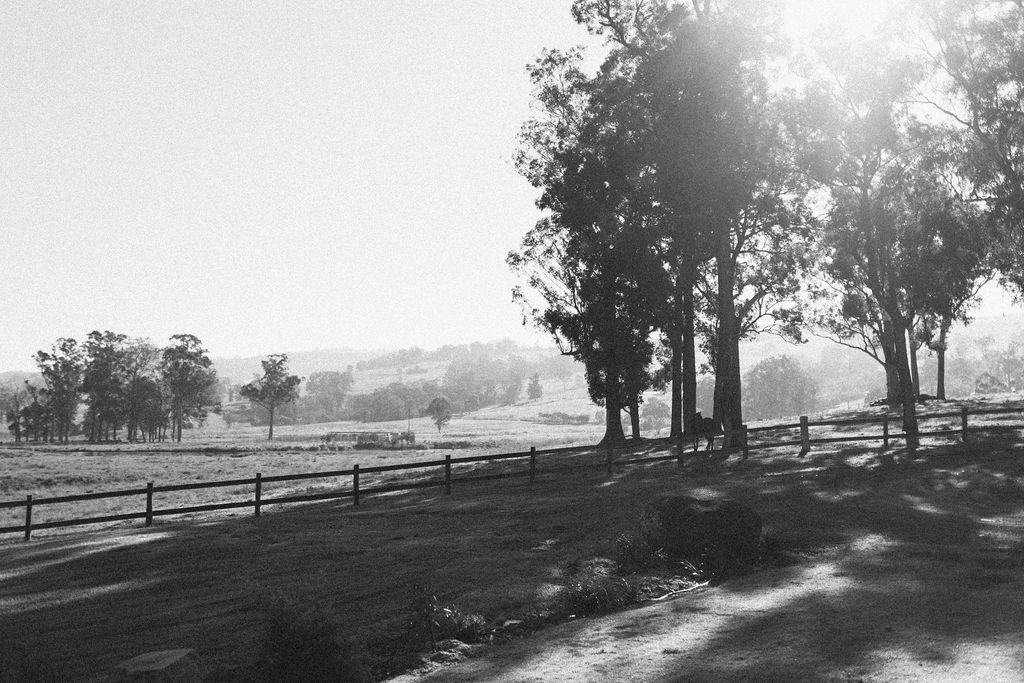 Wallaringa Farm