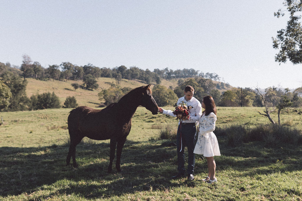 Wallaringa Farm